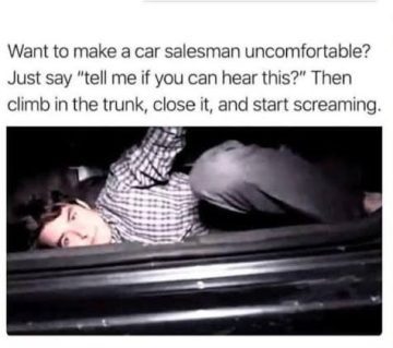 Person in car trunk pranking a salesman with a hilarious scream.