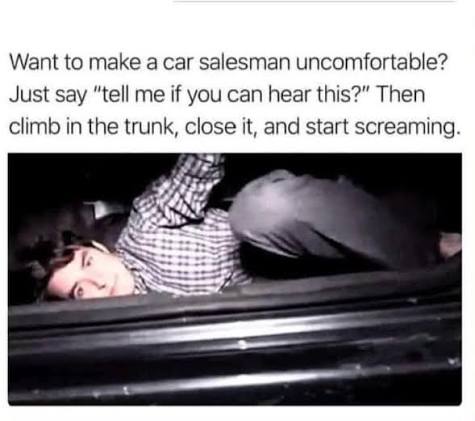 Person in car trunk pranking a salesman with a hilarious scream.