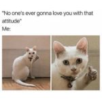 White cat showing attitude with a hilarious expression.