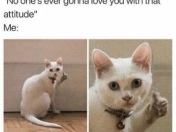 White cat showing attitude with a hilarious expression.