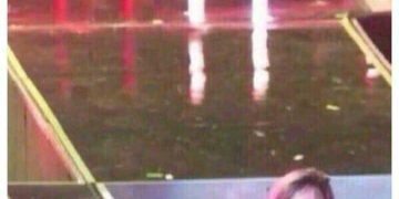 Cat peeking over the bed edge with a cheeky look.