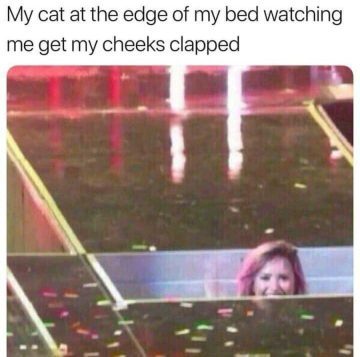 Cat peeking over the bed edge with a cheeky look.