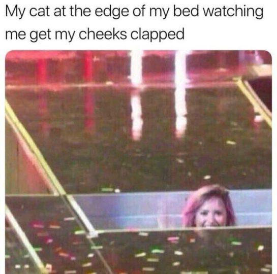 Cat peeking over the bed edge with a cheeky look.