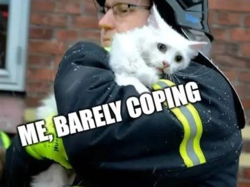 Firefighter holding a white cat, with text "Me, Barely Coping"