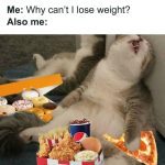 Cat lounging with fast food and donuts, humorously questioning diet.