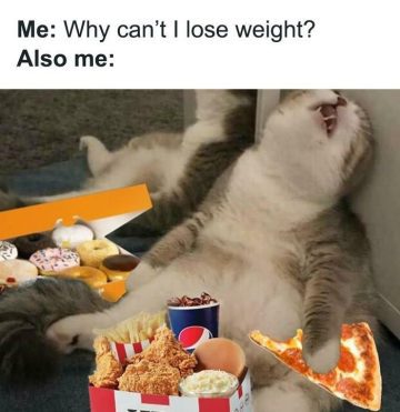 Cat lounging with fast food and donuts, humorously questioning diet.