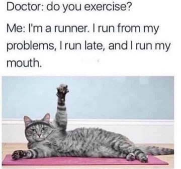 Cat raising paw with funny running joke about life problems.