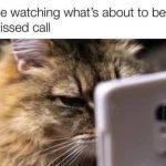 Cat intensely staring at phone with caption about missed call.