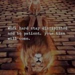 Cat sees lion in reflection, inspiring patience and discipline.