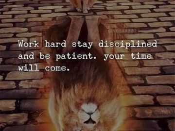 Cat sees lion in reflection, inspiring patience and discipline.