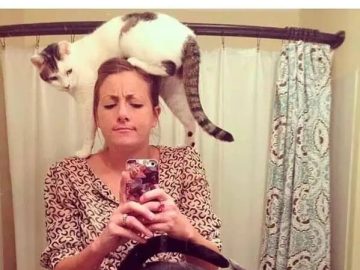 Cat sitting on woman's head with another cat yawning in front of mirror.