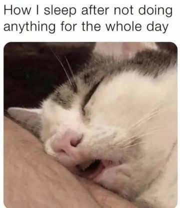 Cat sleeping with mouth open after a lazy day