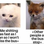 Cat and fox meme depicting awkward bus stop and toilet humor