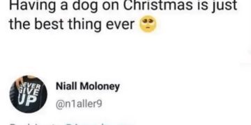 A dark humor Christmas meme involving a joke about dogs and holiday meals.