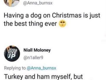 A dark humor Christmas meme involving a joke about dogs and holiday meals.