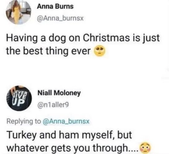 A dark humor Christmas meme involving a joke about dogs and holiday meals.