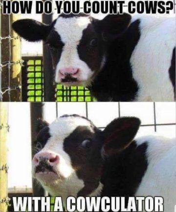 A cow humorously suggests using a "cowculator" to count cows.