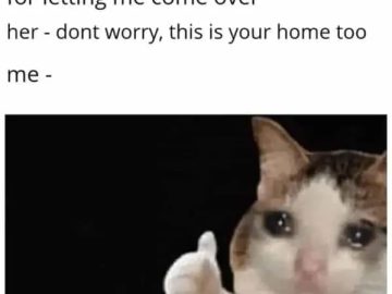 A teary-eyed cat showing gratitude after a friend's mom welcomes it.