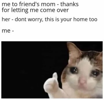 A teary-eyed cat showing gratitude after a friend's mom welcomes it.
