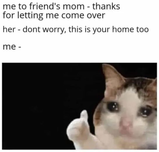A teary-eyed cat showing gratitude after a friend's mom welcomes it.