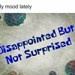 SpongeBob style text saying "Disappointed But Not Surprised."