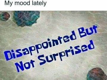 SpongeBob style text saying "Disappointed But Not Surprised."