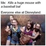 Group reactions to mouse drama at Disneyland