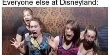 Group reactions to mouse drama at Disneyland