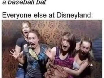 Group reactions to mouse drama at Disneyland