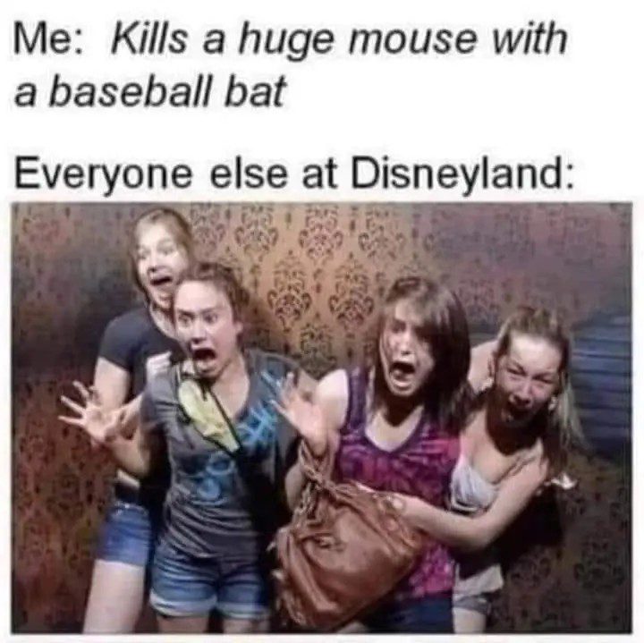 Group reactions to mouse drama at Disneyland