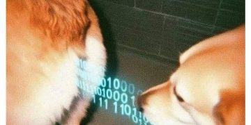 Dog sniffing another dog with binary code overlay, humorously simulating data transfer.