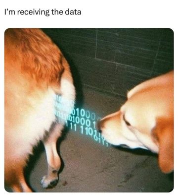 Dog sniffing another dog with binary code overlay, humorously simulating data transfer.