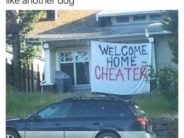 Dog jealousy meme with "Welcome Home Cheater" sign on house.