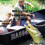 Person trying to calm a dog acting wild like a crocodile.