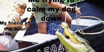 Person trying to calm a dog acting wild like a crocodile.