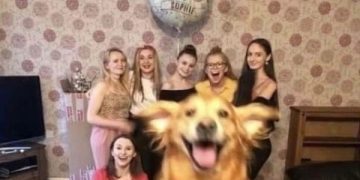 Happy dog joyfully jumps into a group photo of friends.