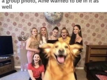 Happy dog joyfully jumps into a group photo of friends.