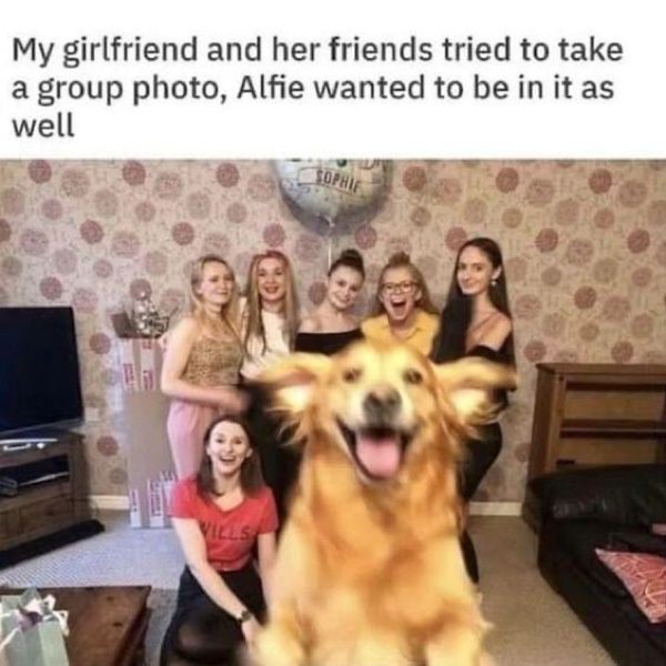 Happy dog joyfully jumps into a group photo of friends.