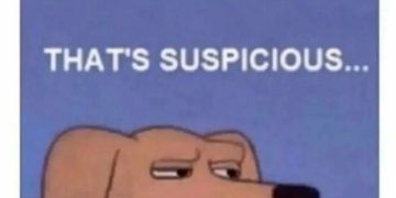 Suspicious looking dog meme captioned "That's suspicious..."