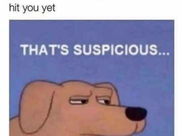 Suspicious looking dog meme captioned "That's suspicious..."