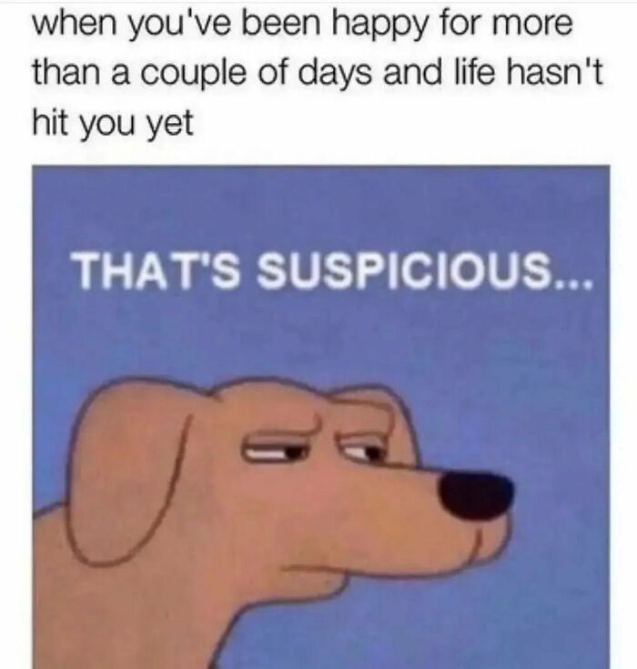 Suspicious looking dog meme captioned "That's suspicious..."