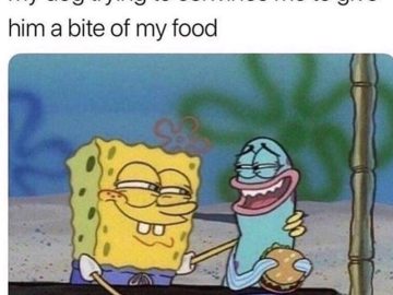 Spongebob with sly smile as dog begs for food caption