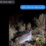 Car crashed in bushes with humorous text exchange about driving.