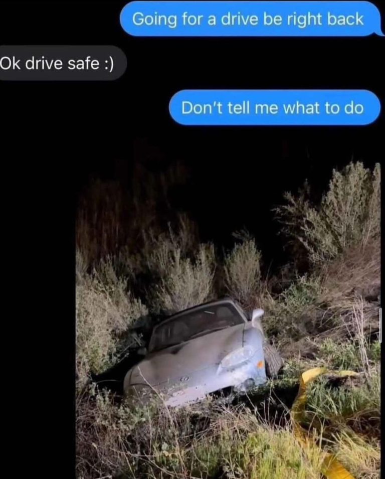 Car crashed in bushes with humorous text exchange about driving.