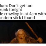 Gandalf stumbling home drunk at 4am with a random stick.