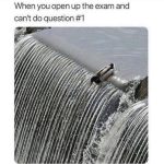 Duck sliding off waterfall with exam fail meme text