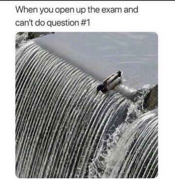 Duck sliding off waterfall with exam fail meme text