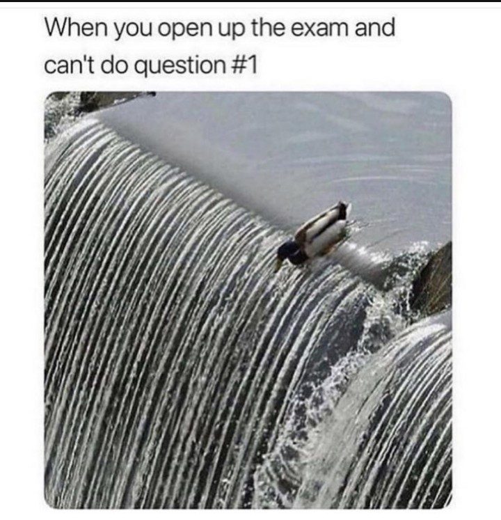 Duck sliding off waterfall with exam fail meme text
