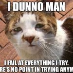 Sad cat meme expressing failure in a humorous way.