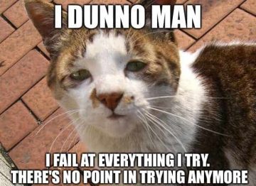Sad cat meme expressing failure in a humorous way.